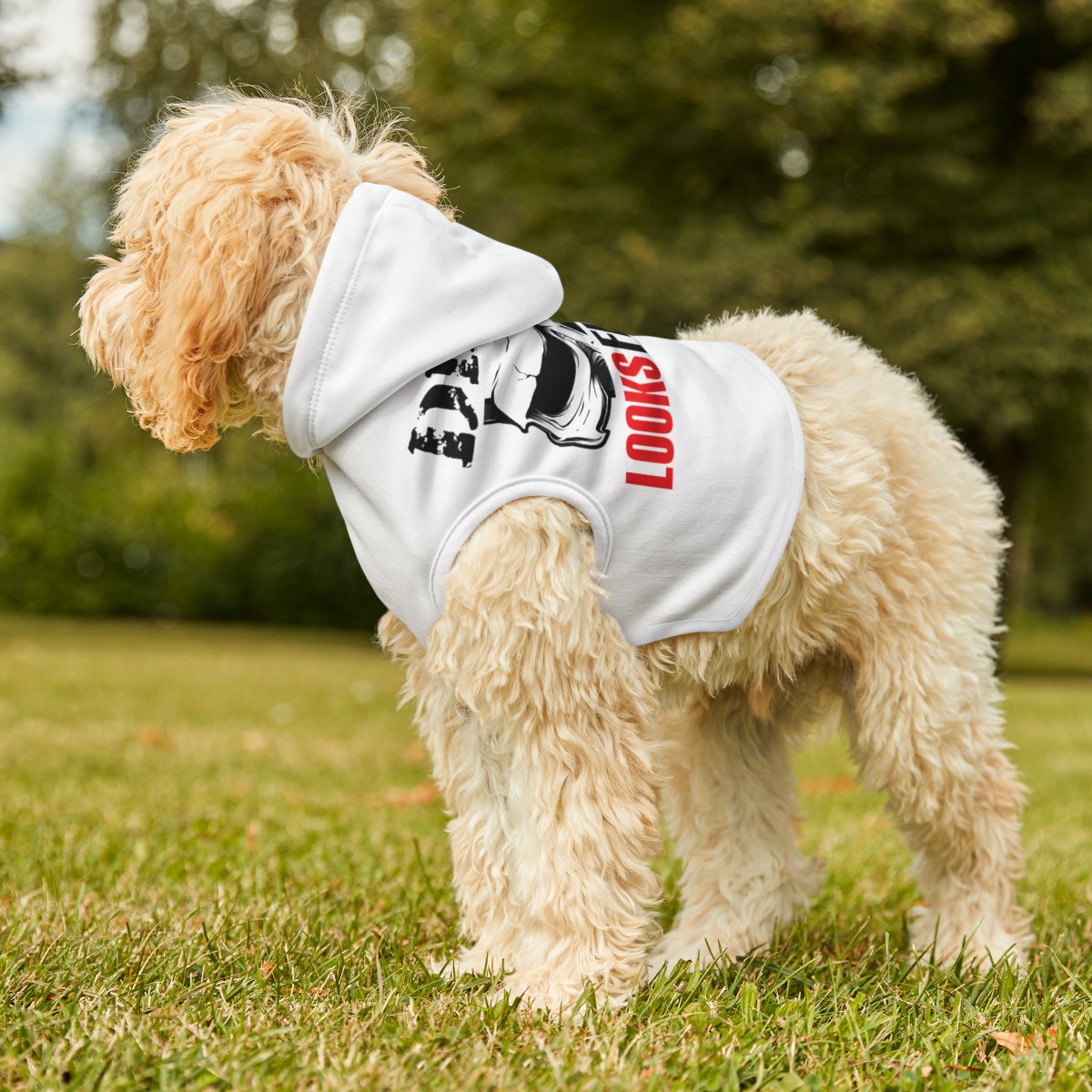 Dirty Looks Dog Hoodie product thumbnail image