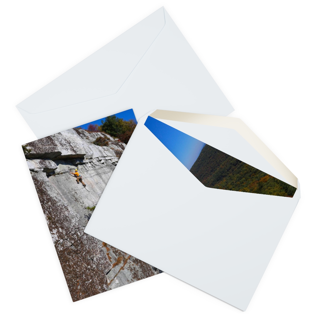 Three Doves Greeting Cards (5 Pack) product thumbnail image