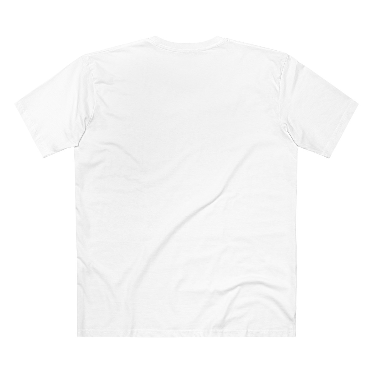 ECO Men's Perfect T-Shirt product thumbnail image
