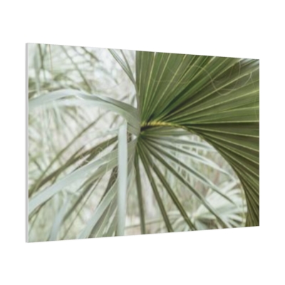 Palm Leaf - Matte Canvas, Stretched, 0.75"