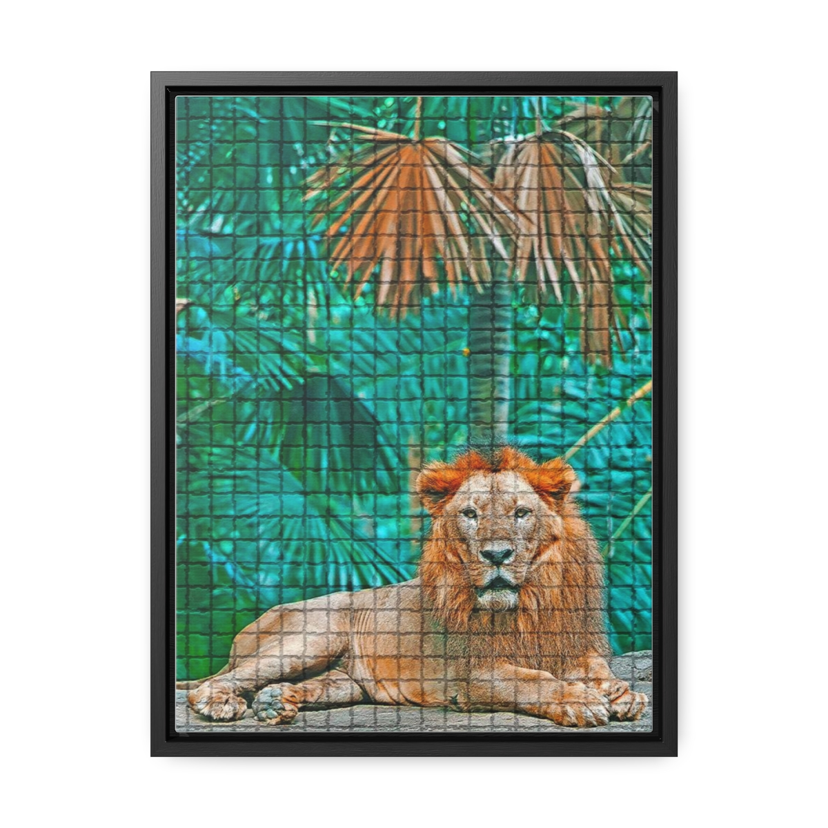 Lion - Gallery Canvas Wraps, Vertical Frame product thumbnail image