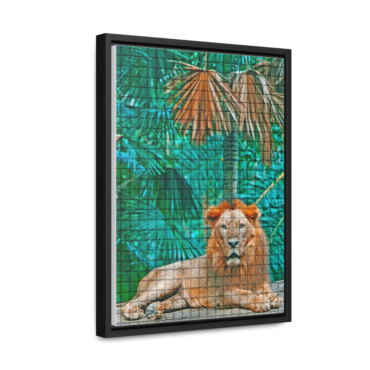 Lion - Gallery Canvas Wraps, Vertical Frame product thumbnail image