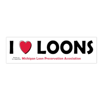 I love Loons Bumper Sticker