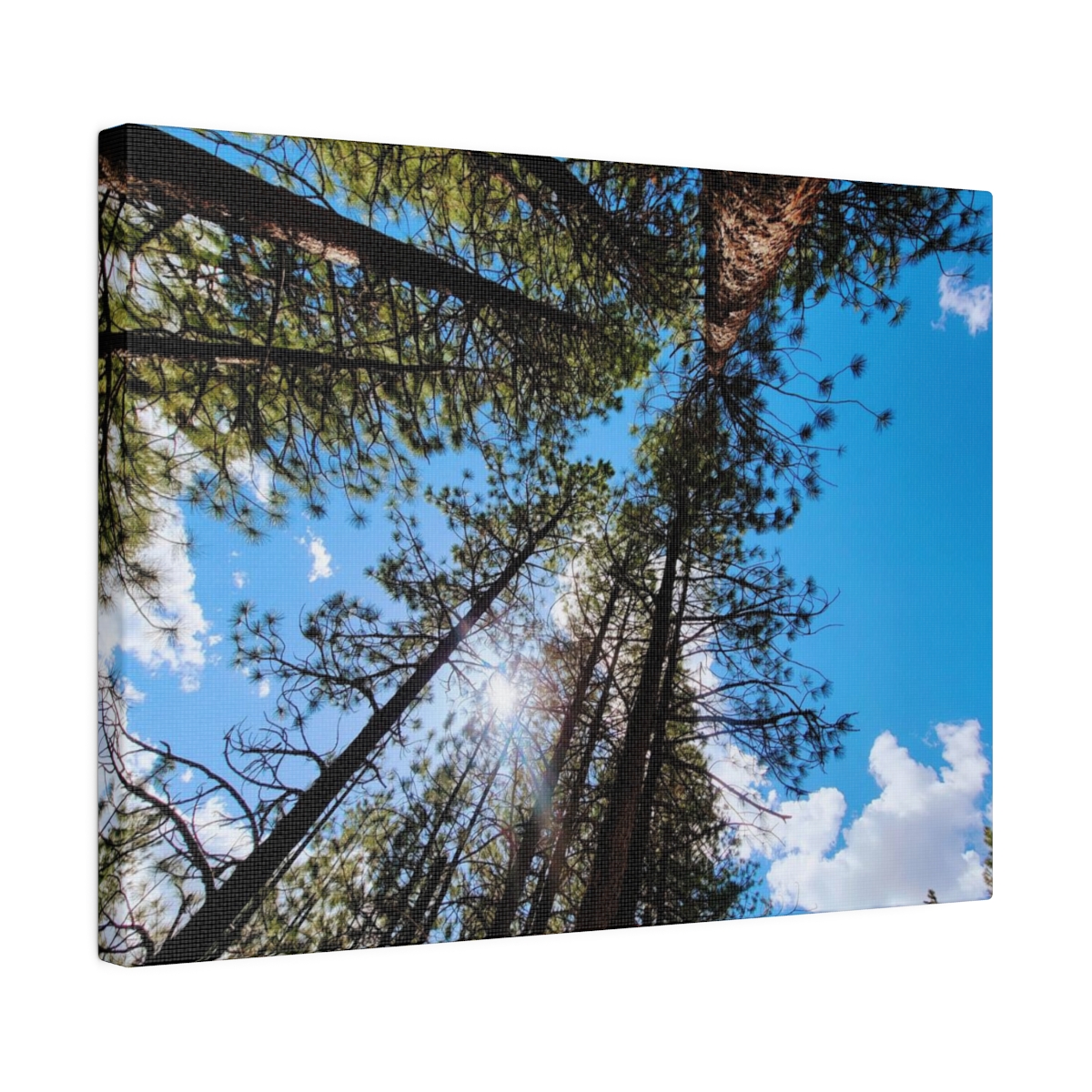 Matte Canvas, Stretched, 0.75" product thumbnail image