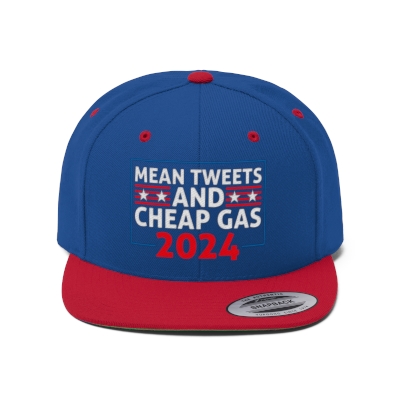 Mean Tweets Flat Bill Hat