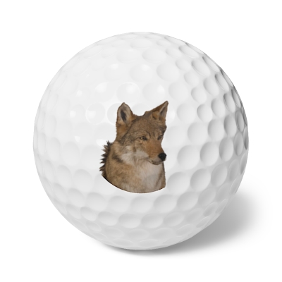 Coyote Golf Balls, 6pcs