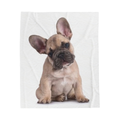 French Bulldog Cute Velveteen Plush Blanket
