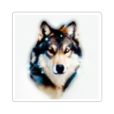 Wolf Grey Realistic Stylized Kiss-Cut Stickers