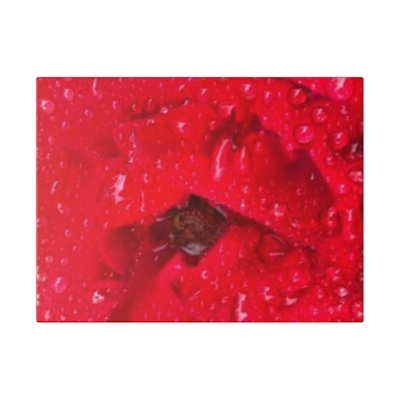 Red Rose-Matte Canvas