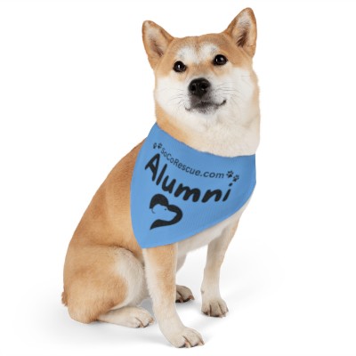 SoCo Rescue ALUMNI Bandana - Light Blue Pet Bandana with Collar (Available in 4 Sizes)