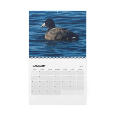 2024 Calendar Wildlife Photography by: Solomon Briggs 