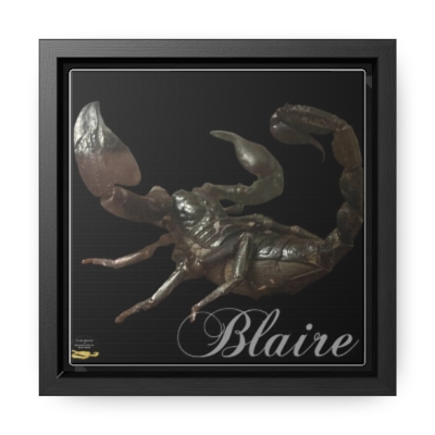 Gallery Canvas Wraps, Square Frame Blaire