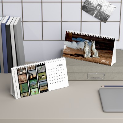Animals Photographer Joan Silling Desk Calendar (2024)