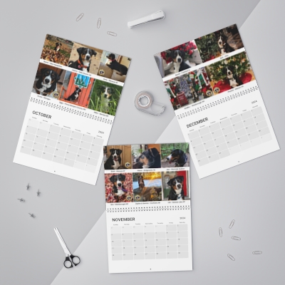 AMDCA 2024 Calendar