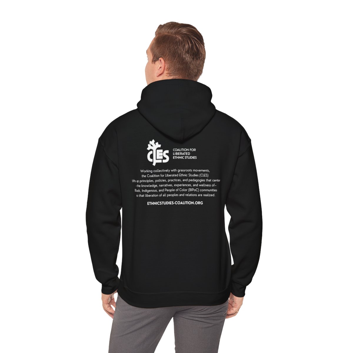 Coalition for Liberated Ethnic Studies Unisex Heavy Blend™ Hooded Sweatshirt in Collaboration with Robert Liu-Trujillo product thumbnail image