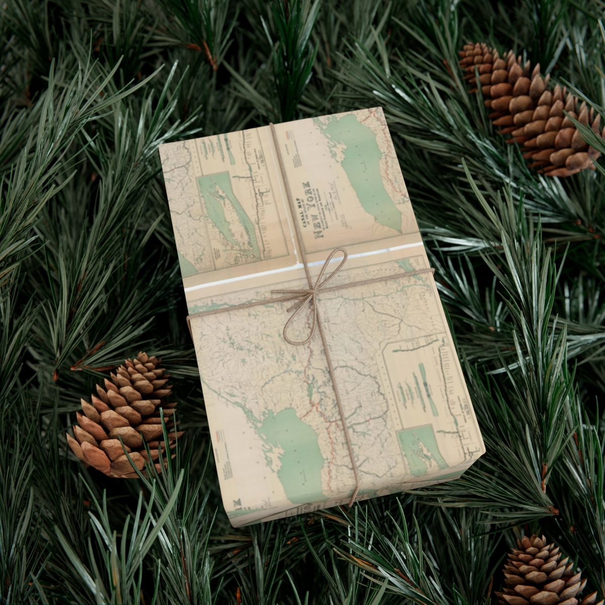 Canal Map Gift Wrap Paper product thumbnail image
