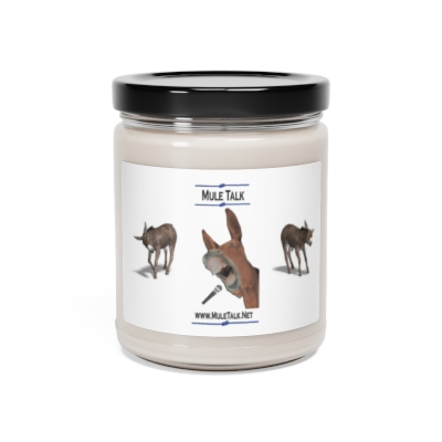 Mule Talk Scented Soy Candle, 9oz