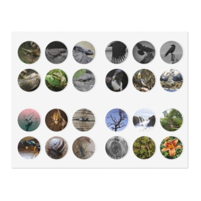 Nature Photography Sticker Sheets