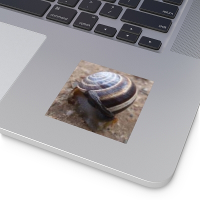 Swirly Snail Square Stickers (IndoorOutdoor)