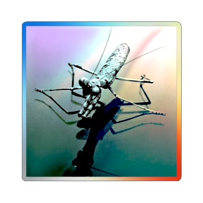 Holographic Mantis Stickers