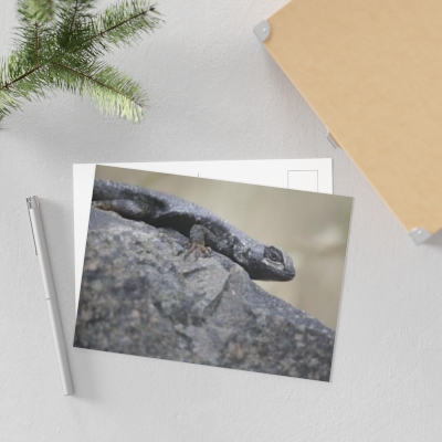 Rock Lizard Fine Art Postcards