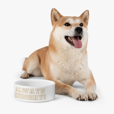 ALWAYS HUNGRY! Pet Bowl