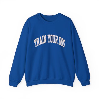 train your dog sweatshirt - blue