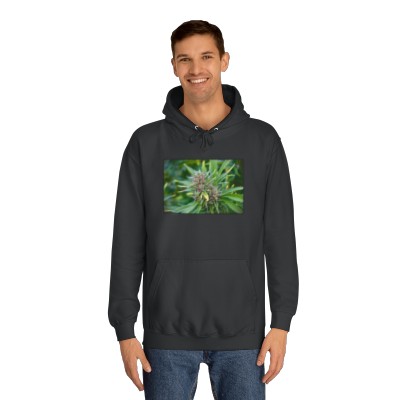 Marijuana College Hoodie