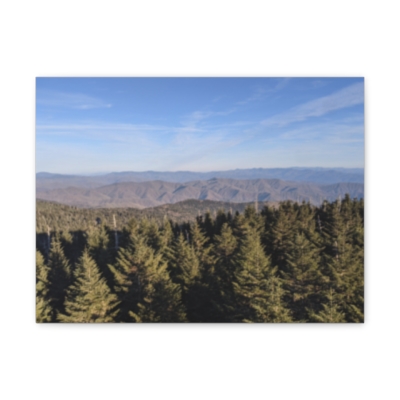 Highest Point in the GSMNP Clingmans Dome TN Canvas Gallery Wraps
