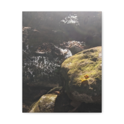 Rocks of the GSMNP - Mountain Water - Canvas Gallery Wraps