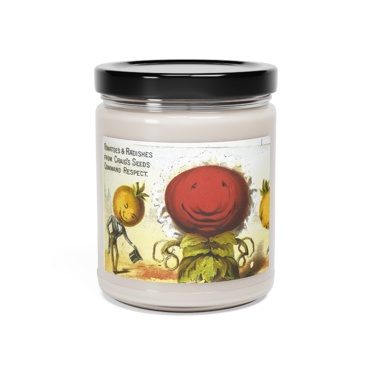 Scented Soy Candle, 9oz product main image