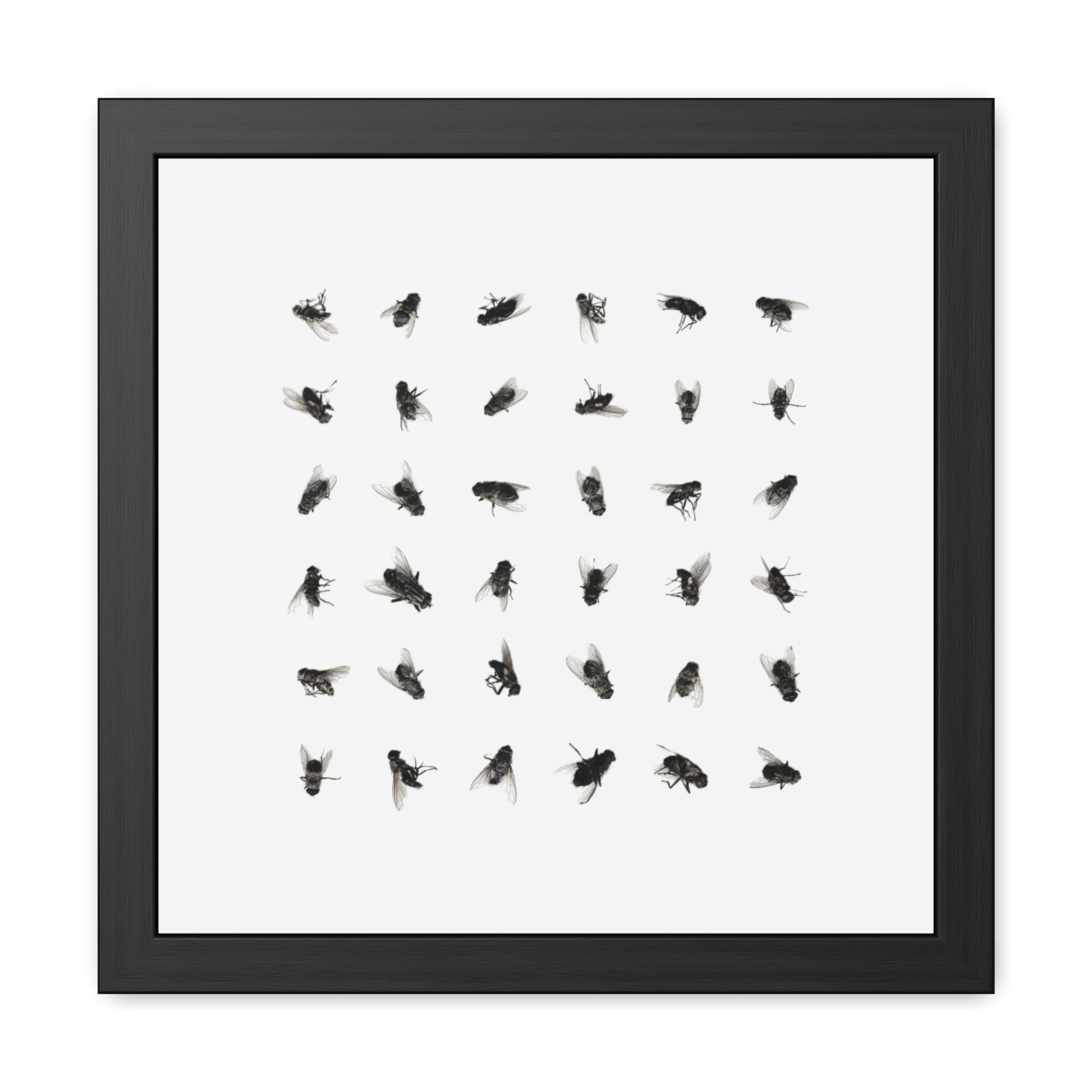36 Dead Flies Framed Poster product thumbnail image