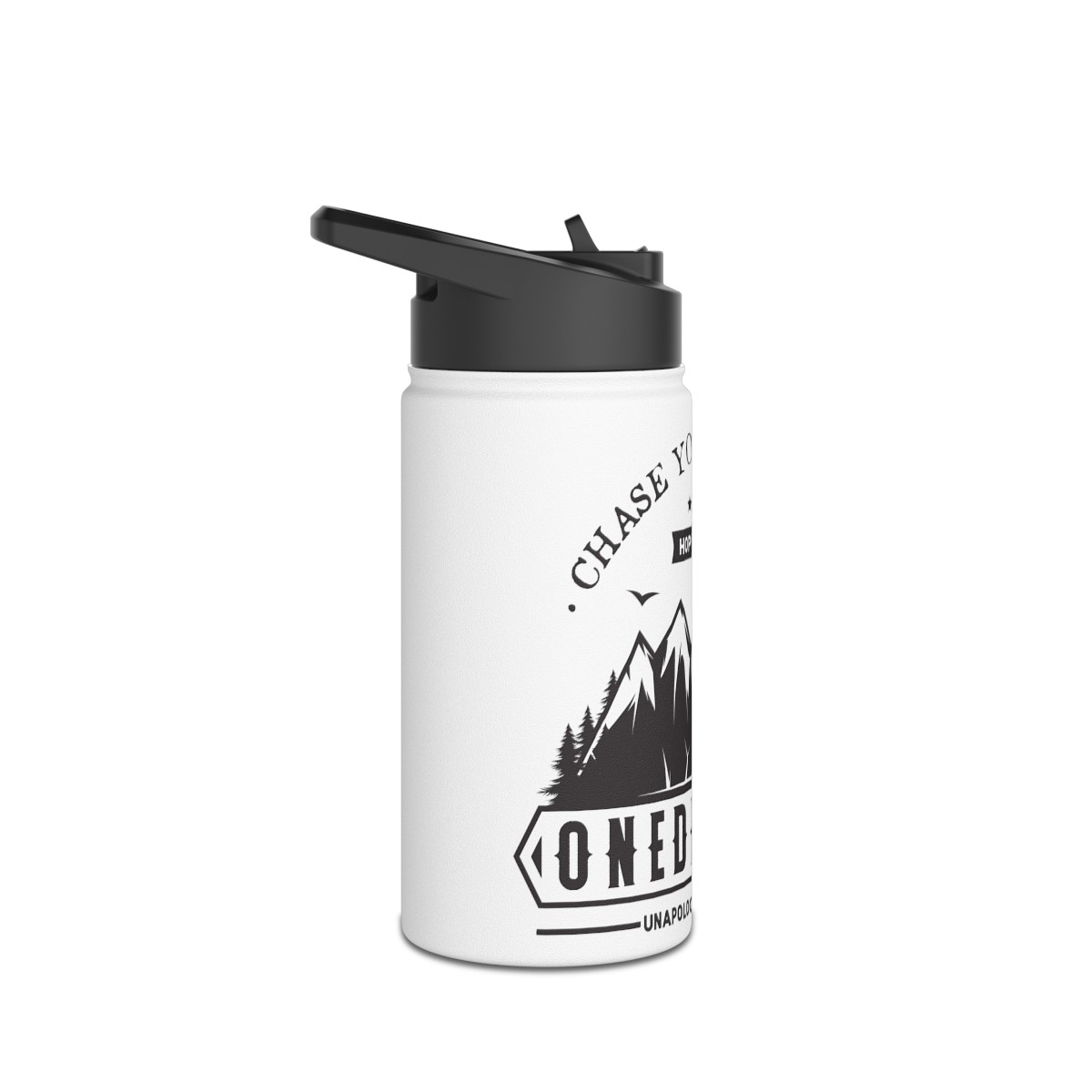 Stainless Steel Water Bottle, Standard Lid - Chase Your Dreams product thumbnail image