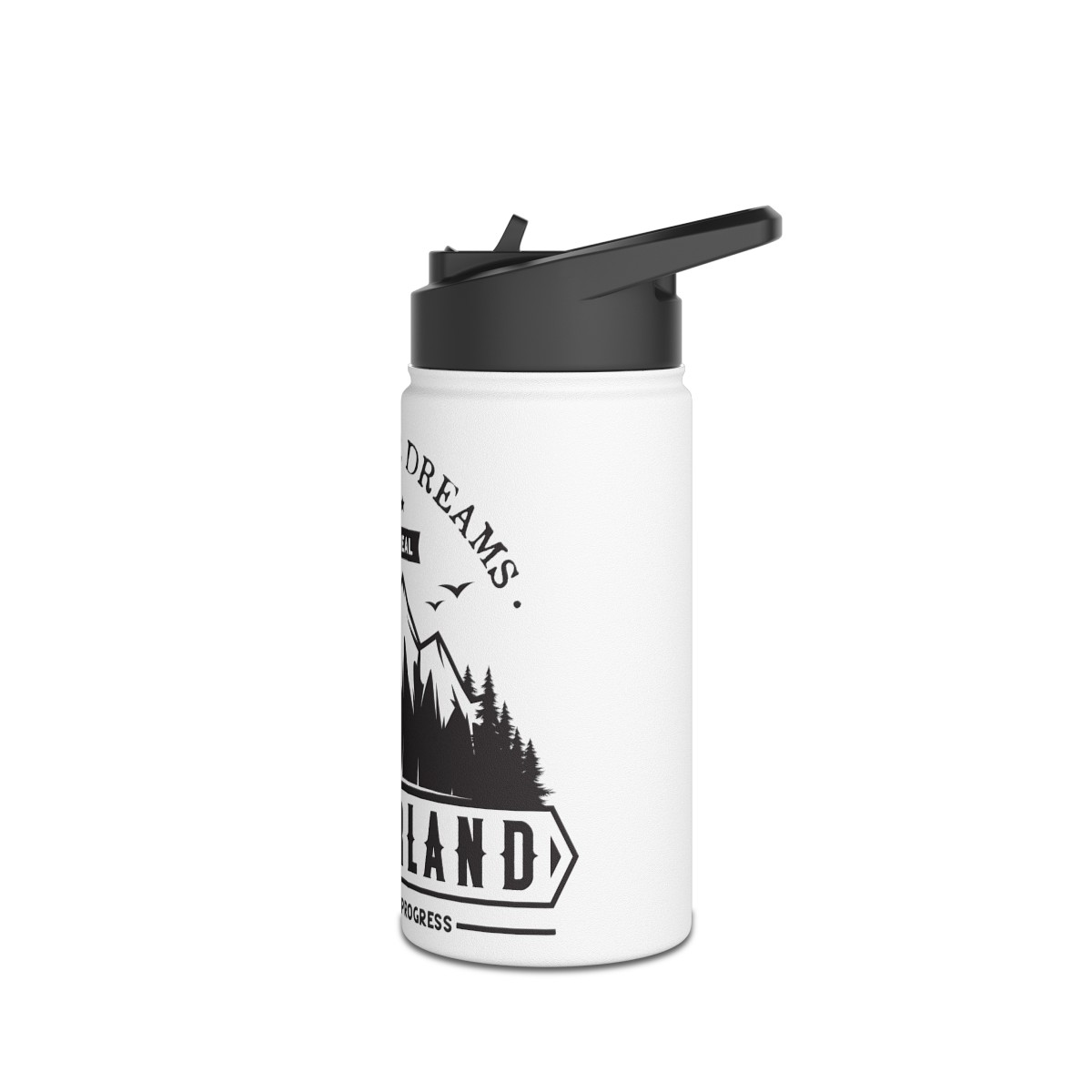 Stainless Steel Water Bottle, Standard Lid - Chase Your Dreams product thumbnail image