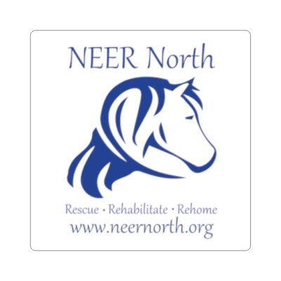 NEER Square Stickers