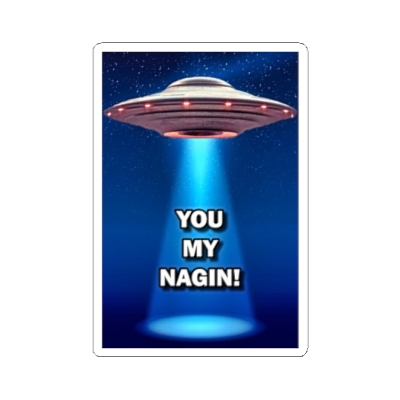 You My Nagin Spaceship Stickers